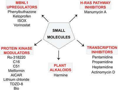 Small Molecules Which Improve Pathogenesis of Myotonic Dystrophy Type 1